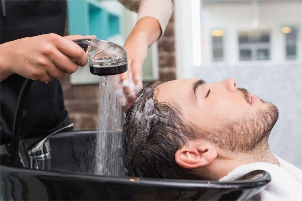¿Cuál es la mejor nutrición para el pelo? 6